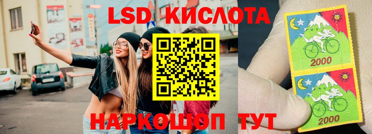 Галлюциногенные грибы Обь