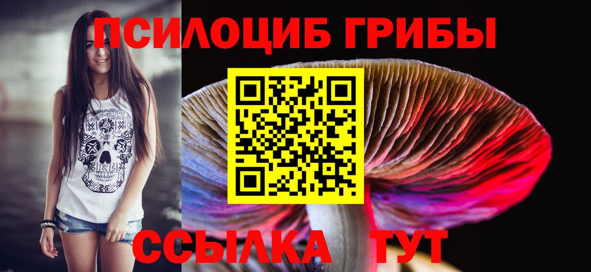 Псилоцибиновые грибы Magic Shrooms  Вход с VPN  купить наркотики цена  Галлюциногенные грибы GOLDEN TEACHER  Обь 