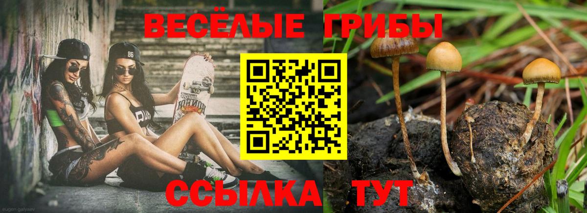 Галлюциногенные грибы Cubensis Обь